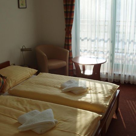 Hotel Loucky Літвінов Екстер'єр фото