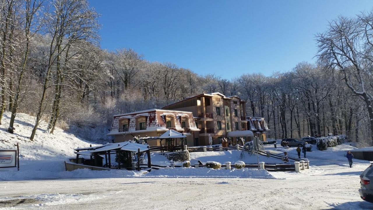 Hotel Loucky Літвінов Екстер'єр фото